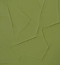 Diatom ooze  for