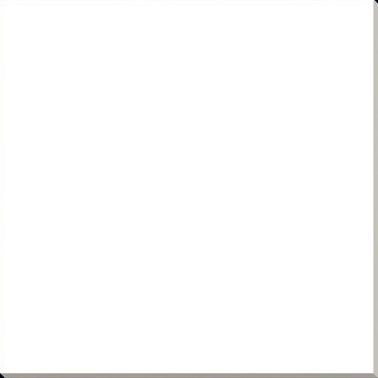 SUPER WHITE TILE