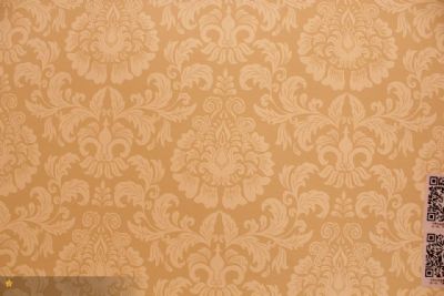 diatom mud silk paint
