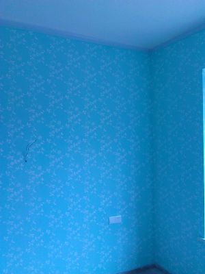 diatom mud silk paint