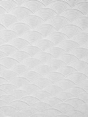 Environmental diatom mud  wall texture