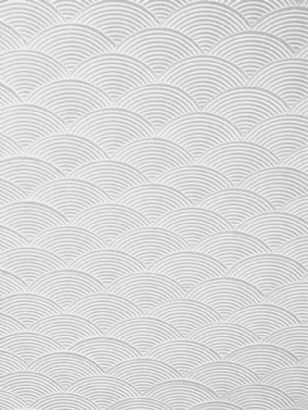 Environmental diatom mud  wall texture