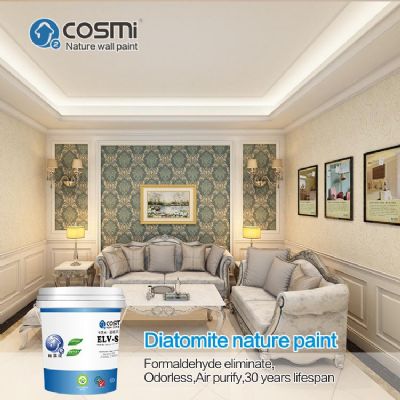 Patterned paint