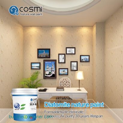 Diatomite paint for wall printing