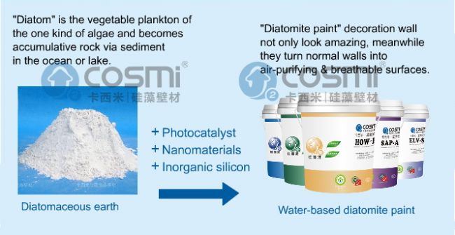 Diatomaceous earth wall primer putty material